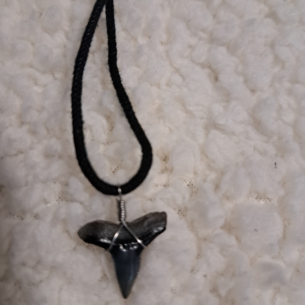 Black Cord Necklace with Shark Tooth Pendant